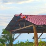 WhatsApp Image 2025-03-18 at 11.12.13 AM (1)