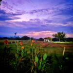 WhatsApp Image 2025-03-18 at 11.12.13 AM