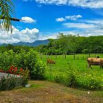 WhatsApp Image 2025-03-18 at 11.12.13 AM (3)