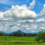 WhatsApp Image 2025-03-18 at 11.12.14 AM (1)