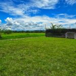 WhatsApp Image 2025-03-18 at 11.12.14 AM (2)