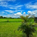 WhatsApp Image 2025-03-18 at 11.12.15 AM